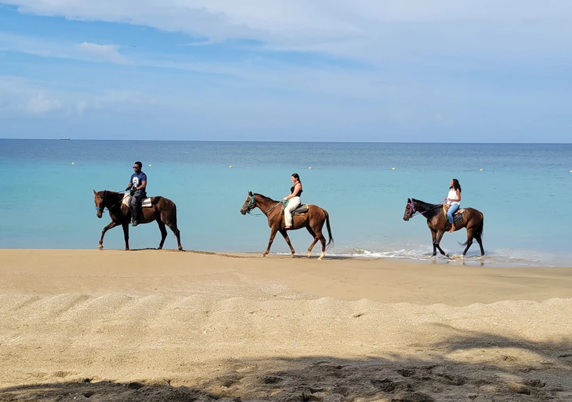 a group of people riding horses on a beach