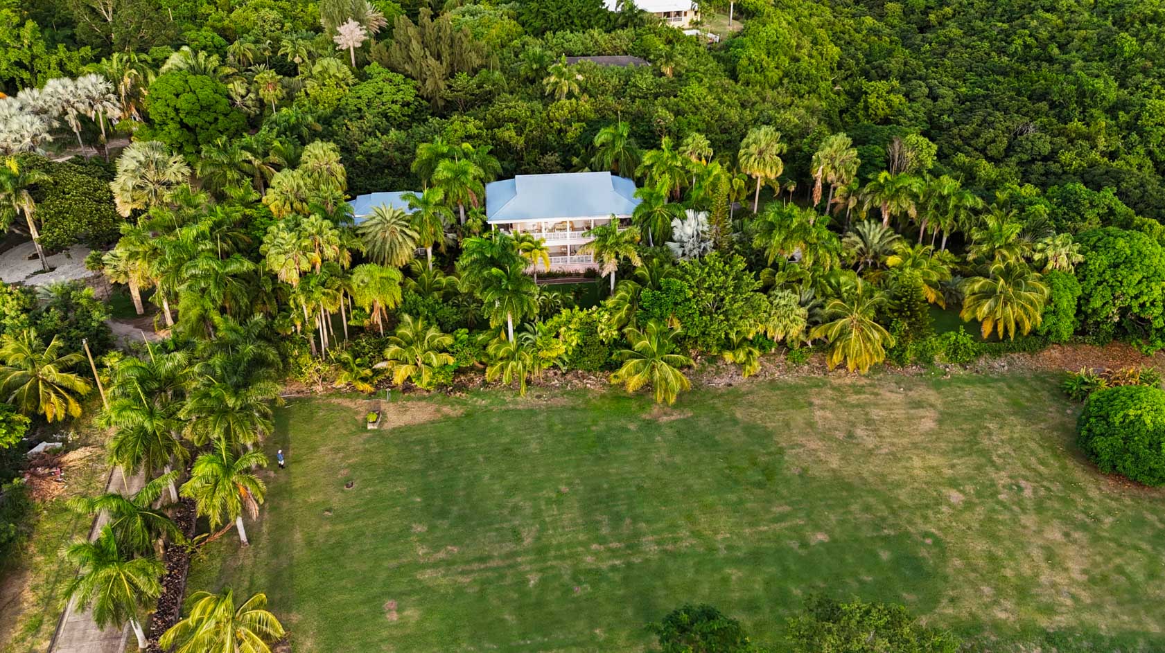 a house surrounded by trees