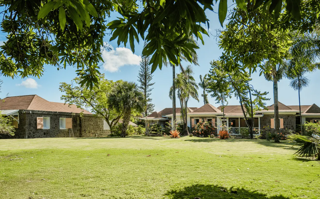 a green lawn with trees and houses