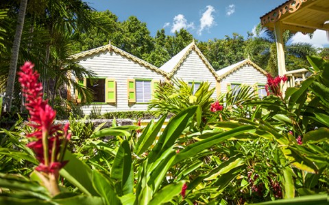 stkitts explore journey to the past romney manor