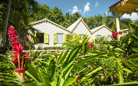 stkitts explore journey to the past romney manor