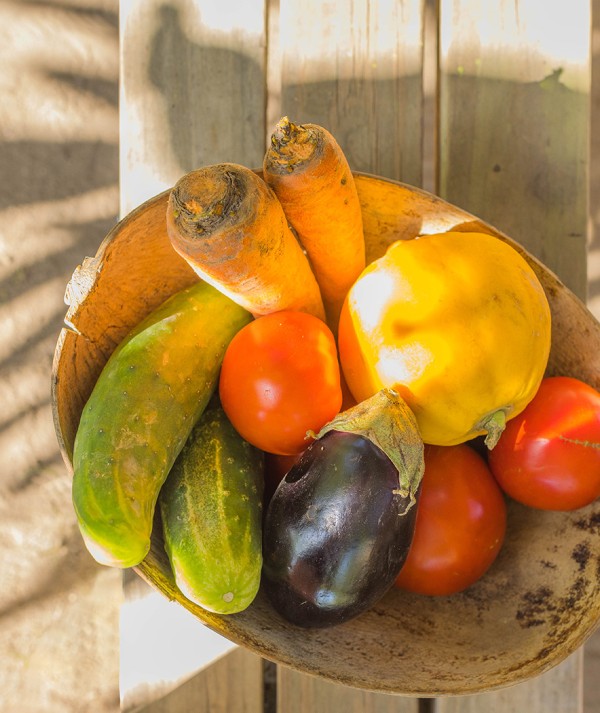 Whether you’re perched atop the rainforest for a farm-to-table harvest feast, or ensconced in a private dining cabana at a 5-star hotel, St. Kitts
serves up something special.