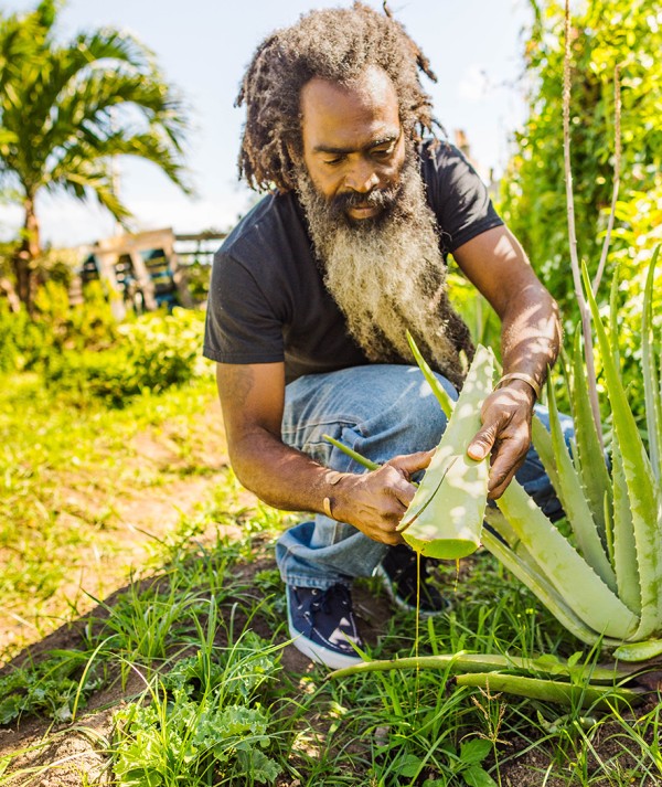 Evolving from its days as a roadside food truck, Ital Creations is a family owned kitchen serving up tasty vegetarian and vegan dishes.