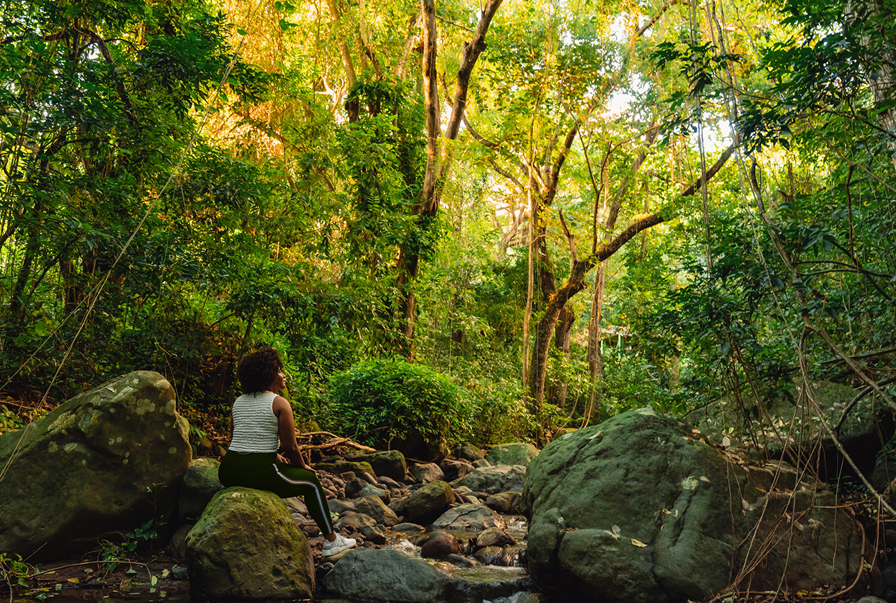 a woman sitting on a rock in a forest