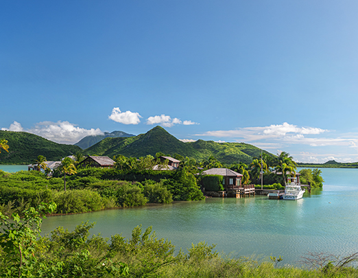 a body of water with houses and trees
