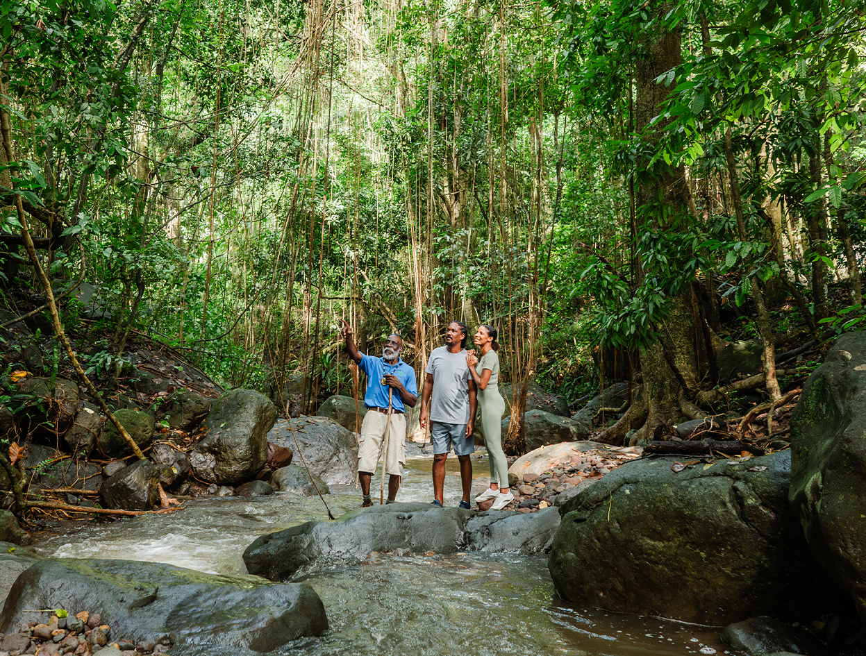 a group of people standing in a river with rocks and trees