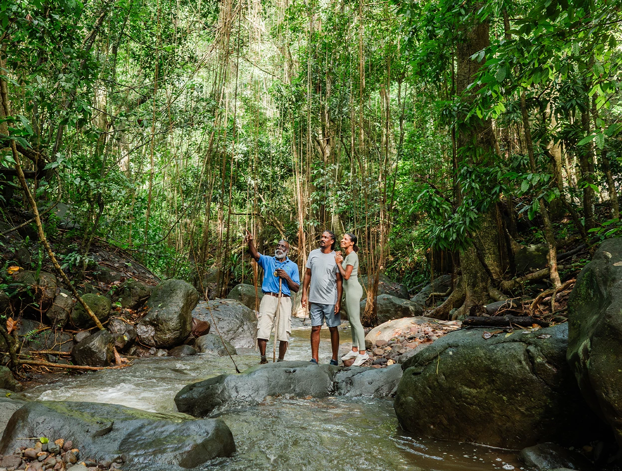 a group of people standing in a river with rocks and trees