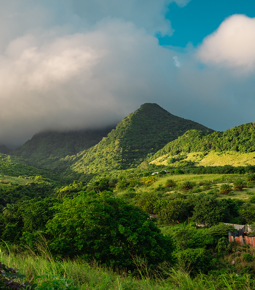 a green hills with trees and clouds