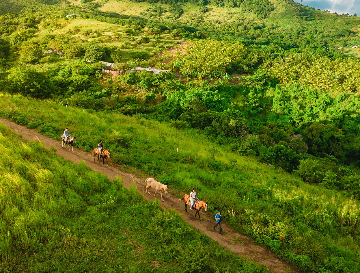 people riding horses on a dirt path with trees and hills