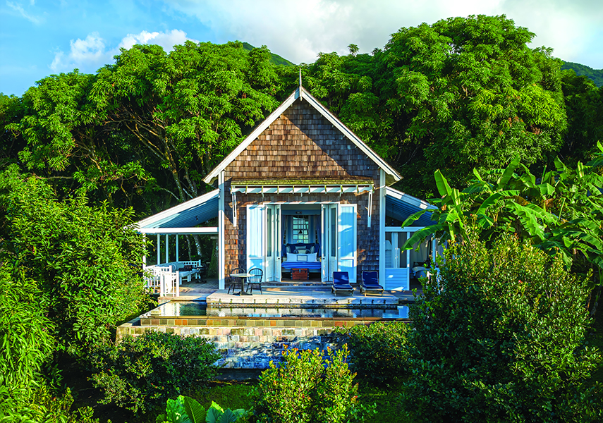 a house with a pool in the middle of trees