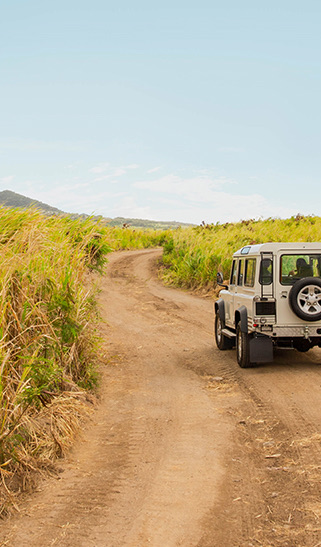 stkitts homepage activies on land