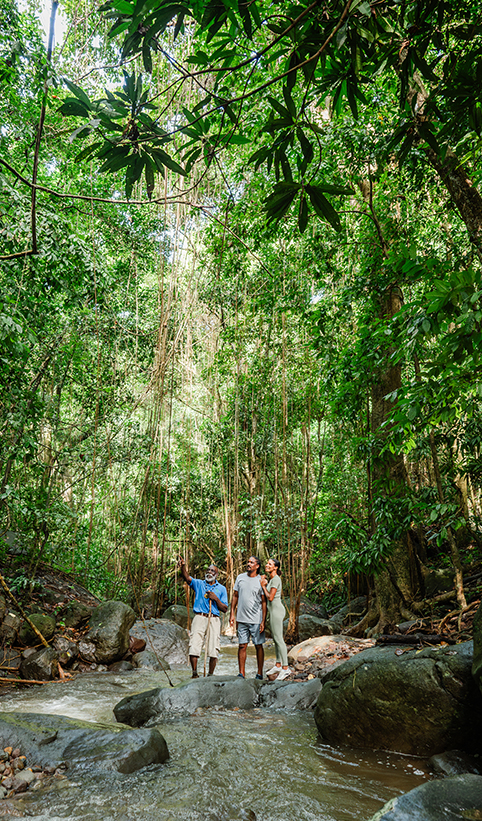 a group of people standing on a path in a forest