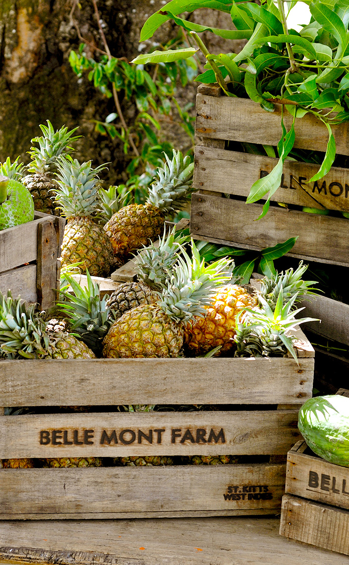 a group of pineapples on a table