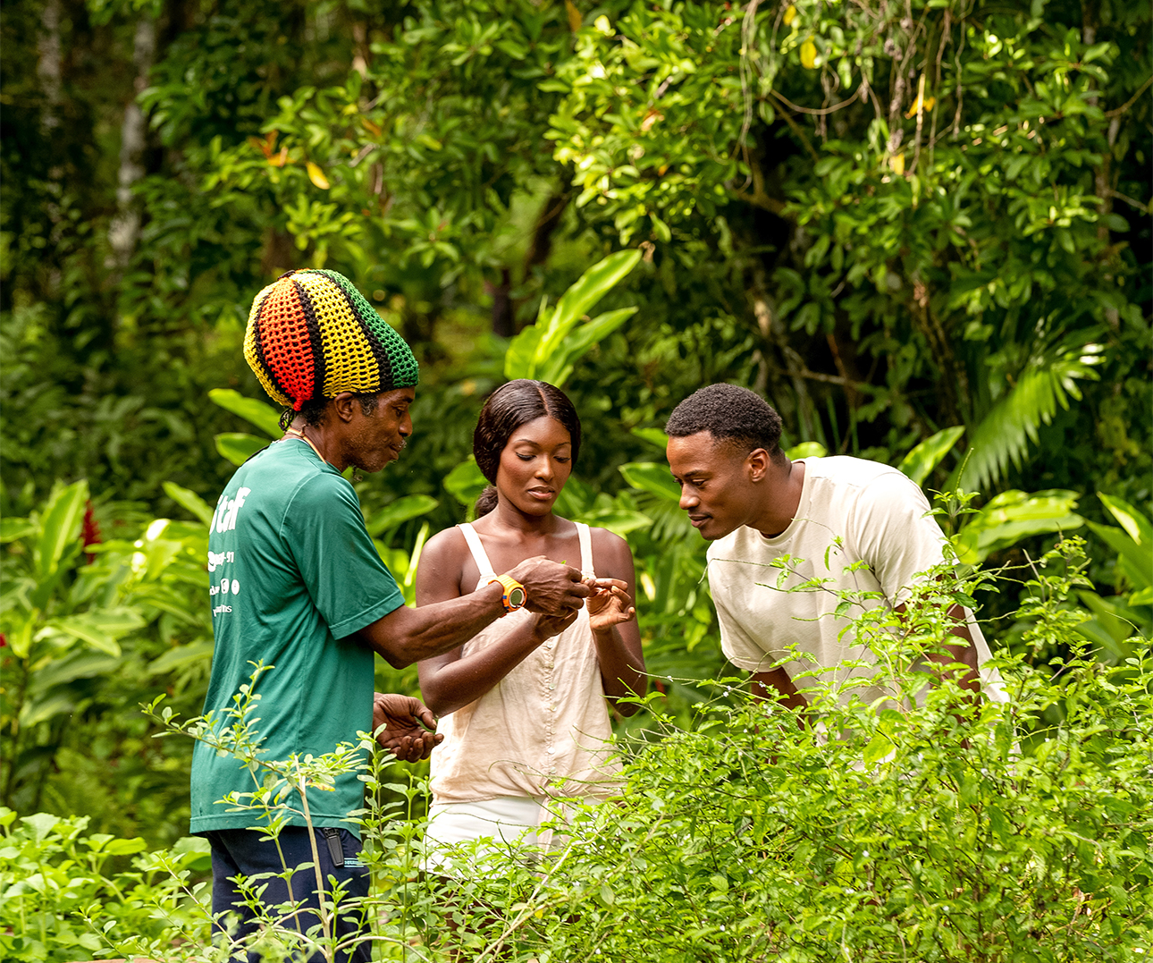 a group of people standing in a forest