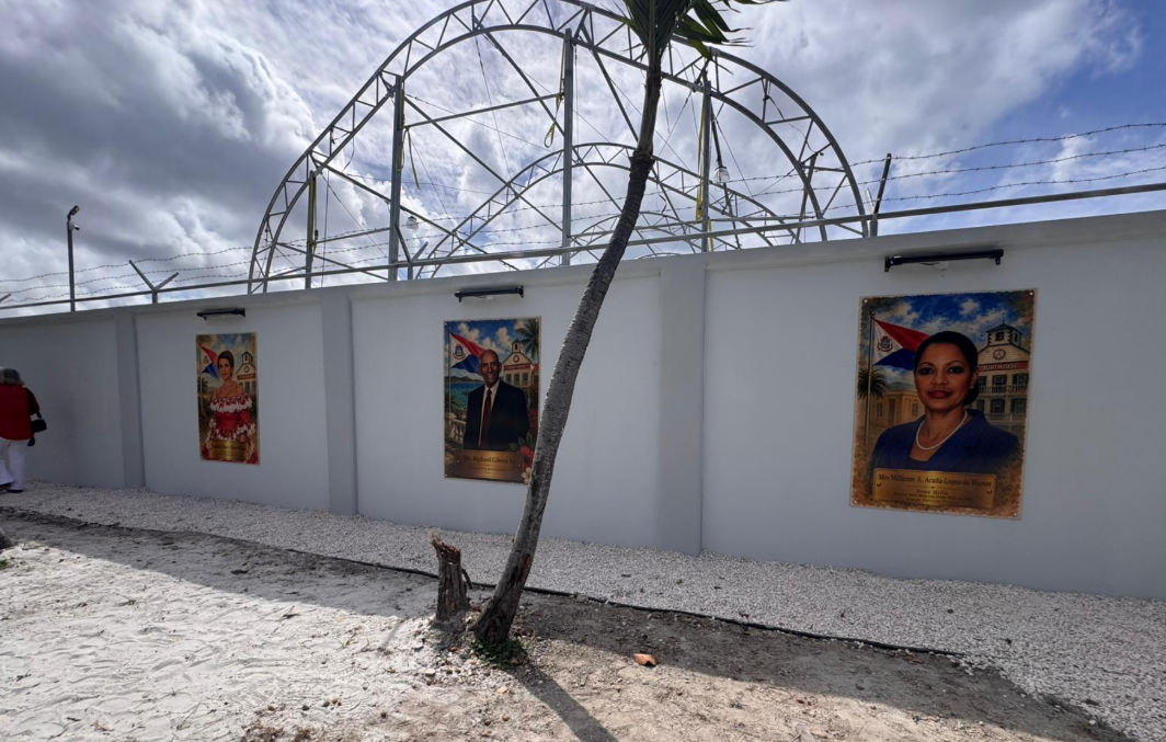 a tree next to a wall with posters on it