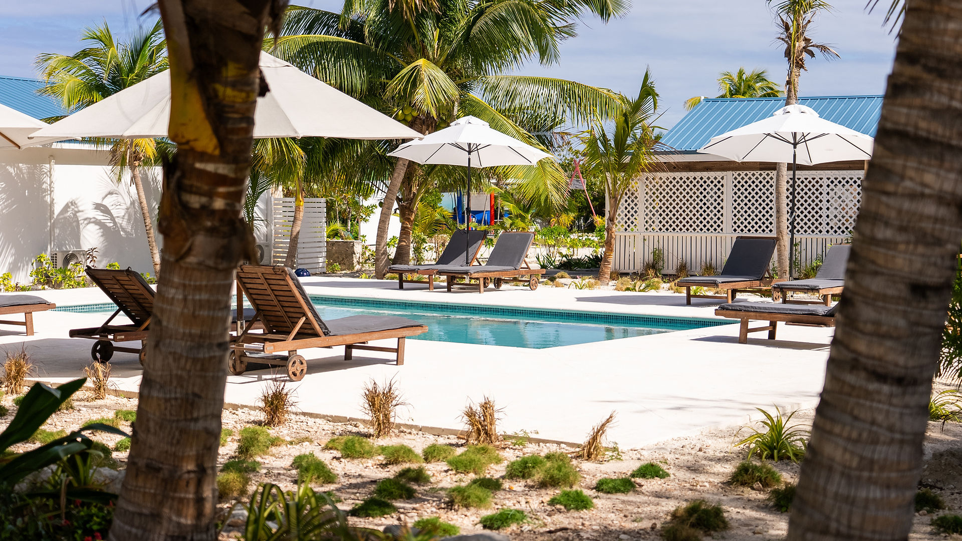 a pool with lounge chairs and umbrellas