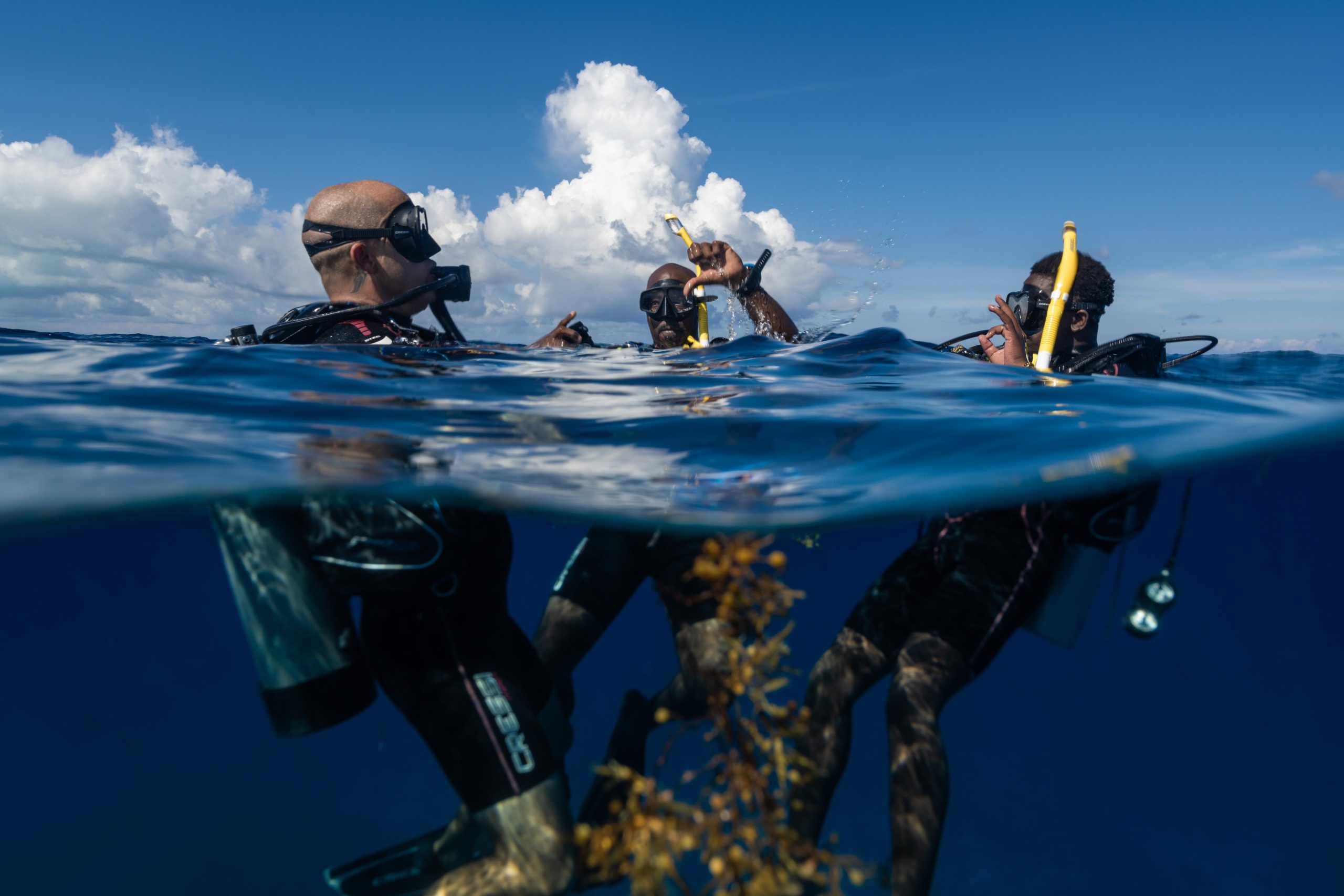 a group of people in scuba gear underwater