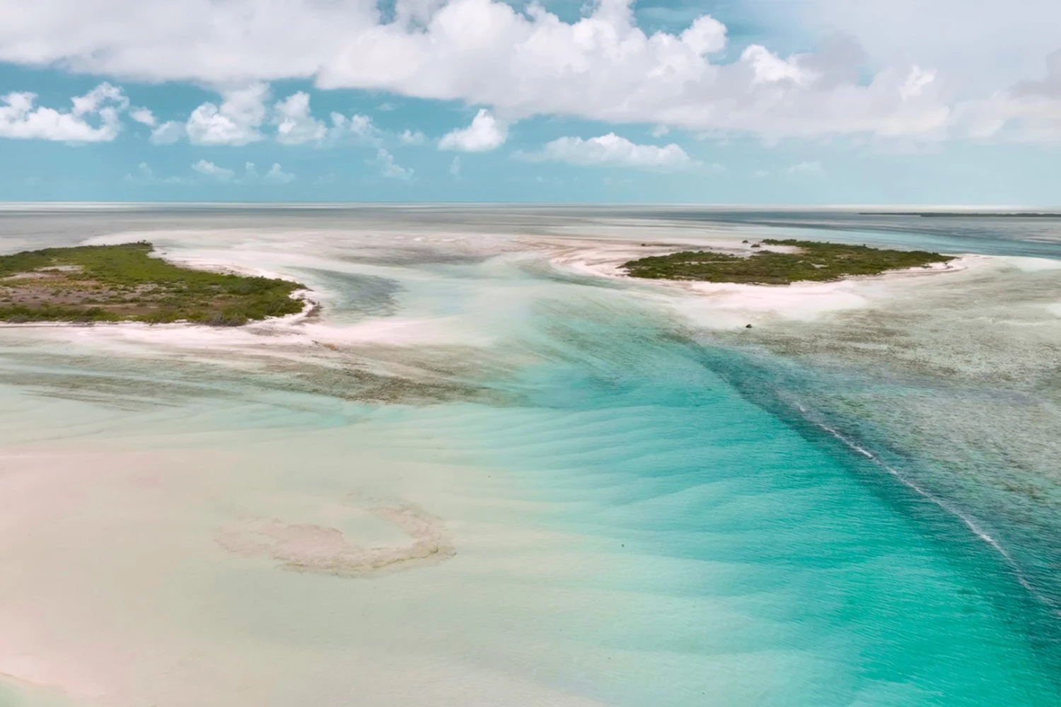 a beach with sand and water