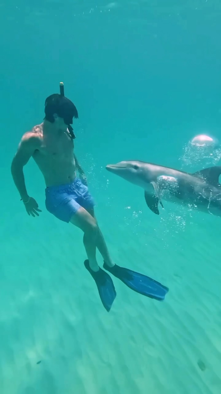 a man swimming with a dolphin