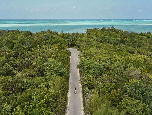 a person walking on a road surrounded by trees