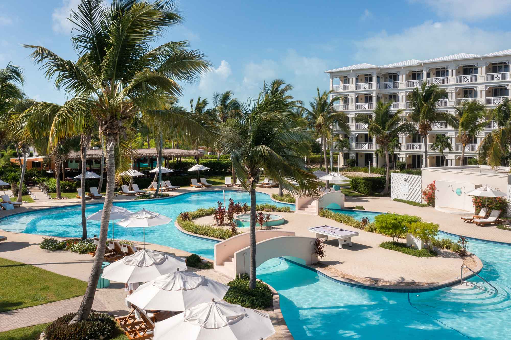 a swimming pool with umbrellas and palm trees