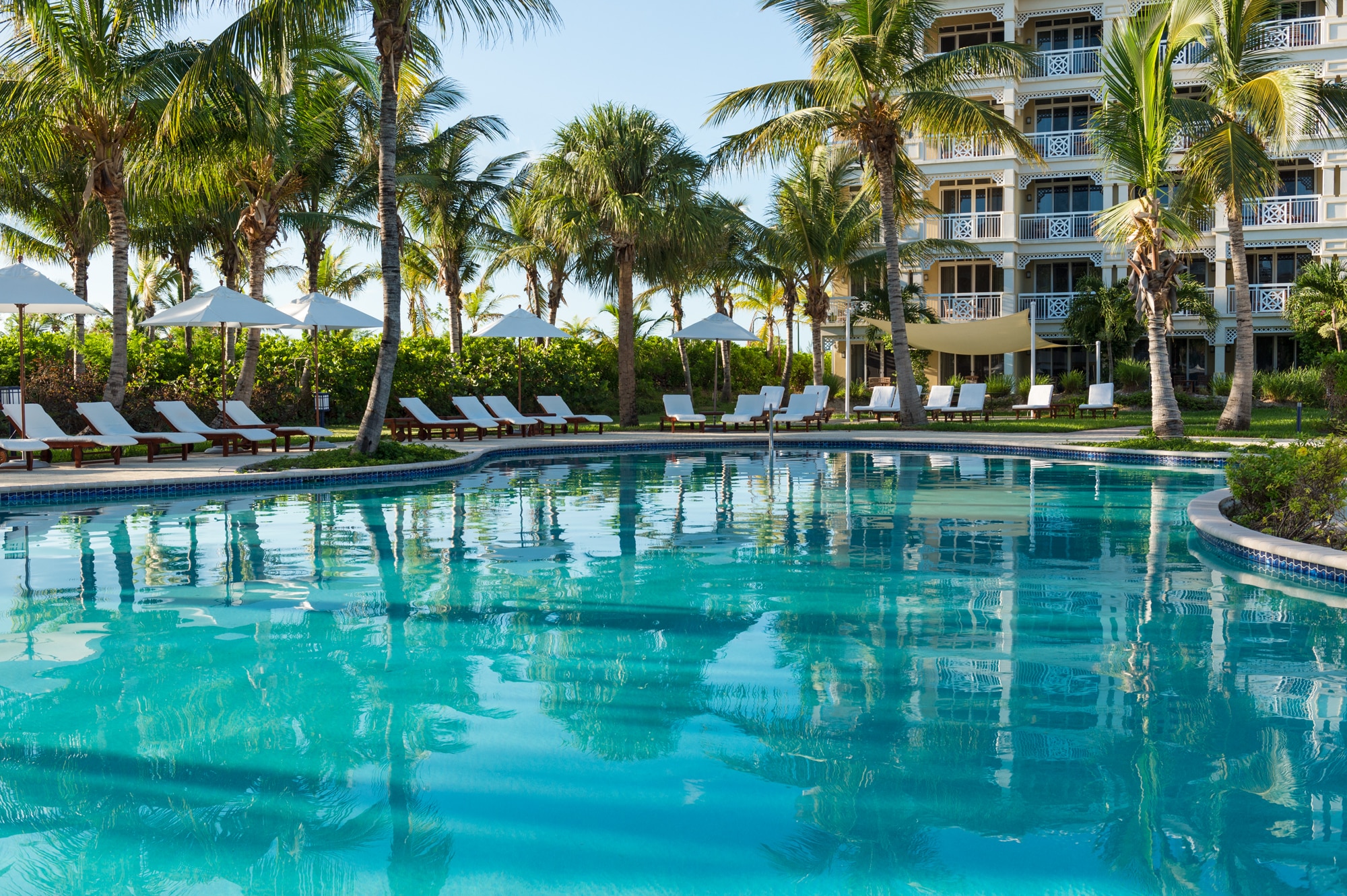 a pool with palm trees and chairs