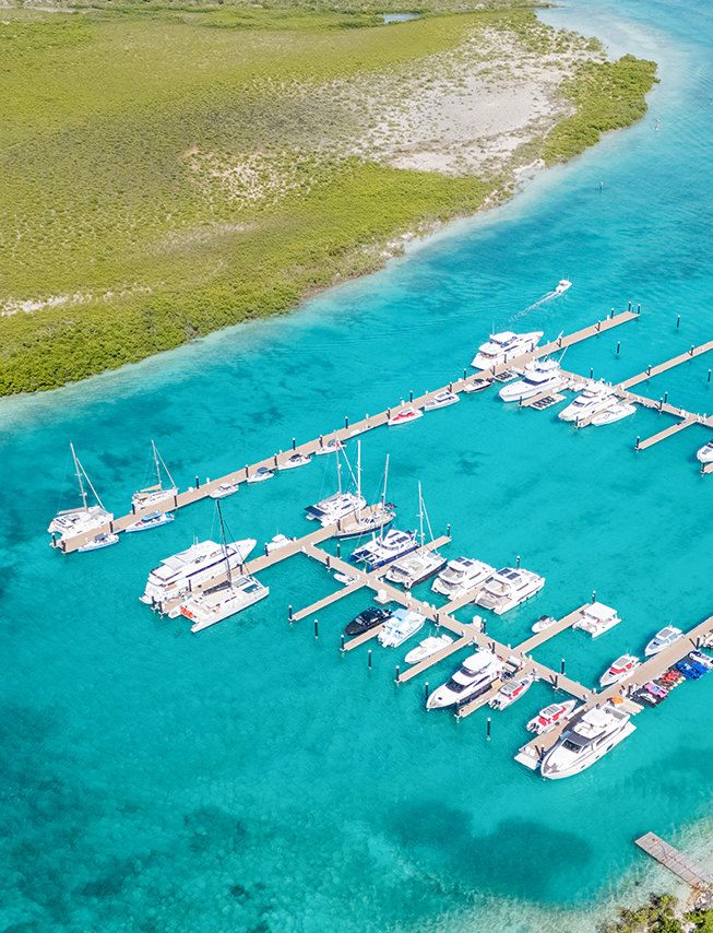 a group of boats in a marina