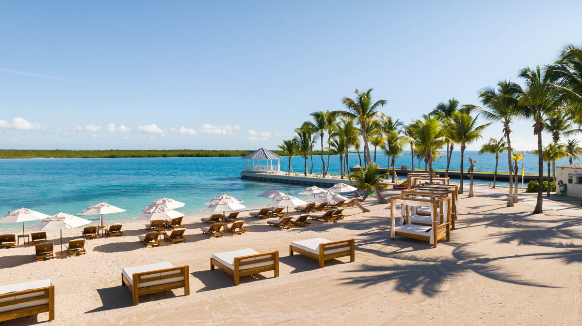 a beach with chairs and umbrellas