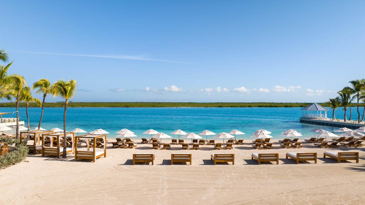 a beach with chairs and umbrellas