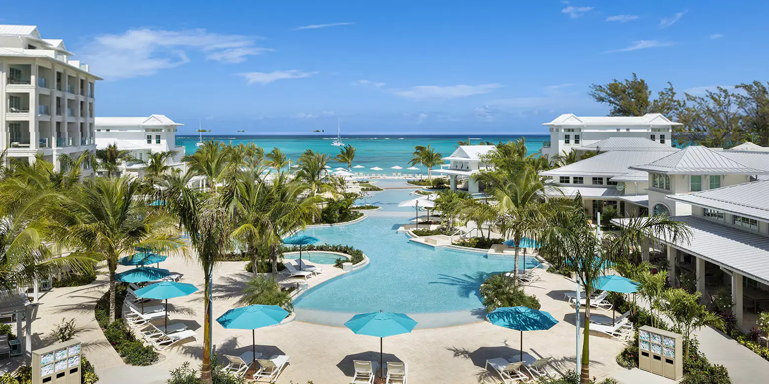 a swimming pool with palm trees and a beach