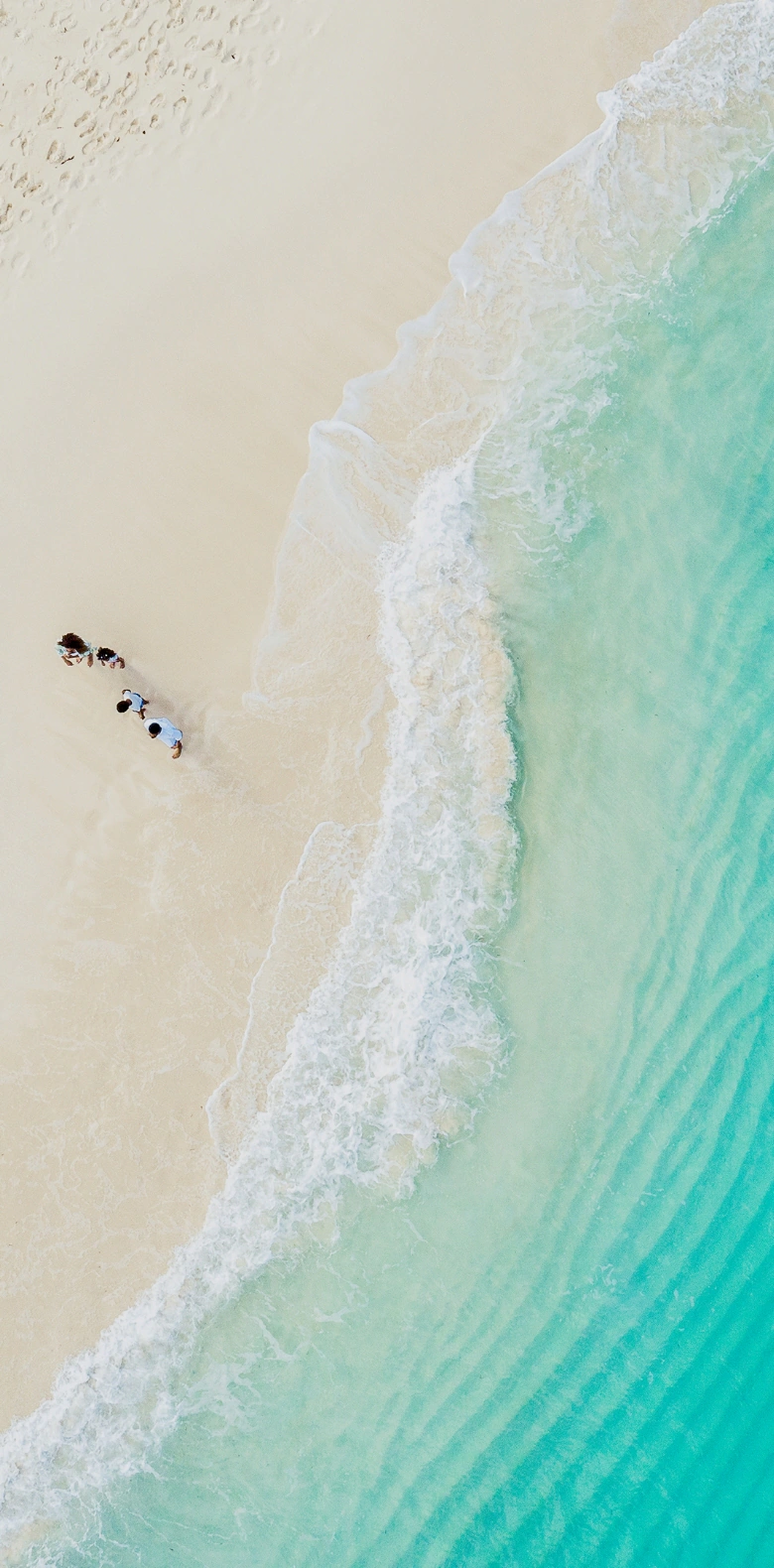 a group of people on a beach