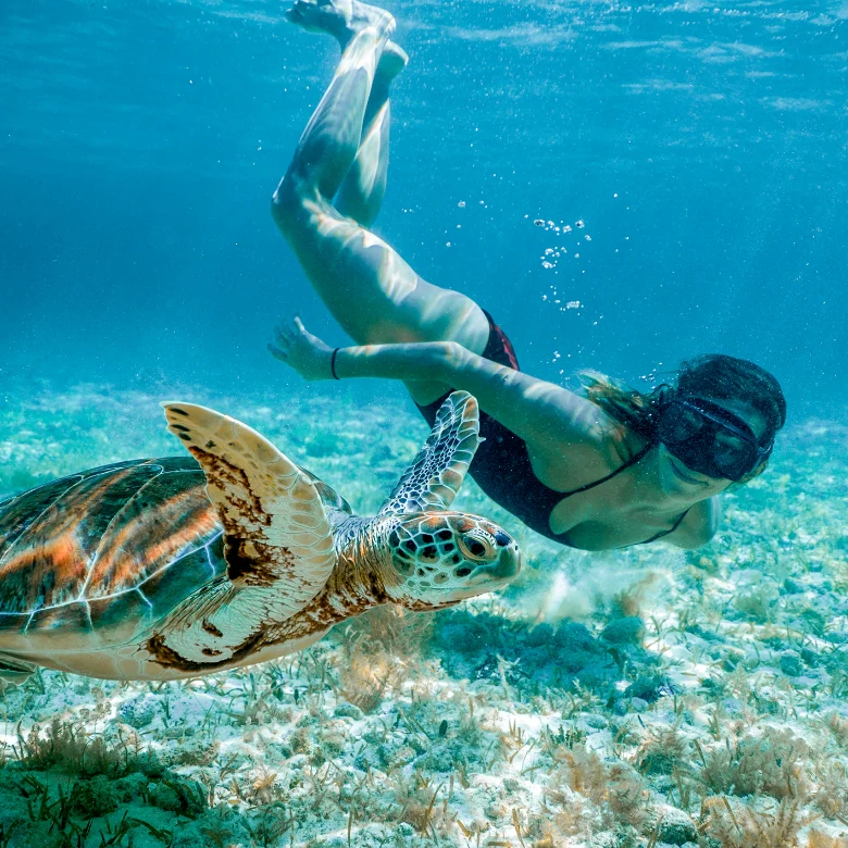 a woman swimming with a turtle