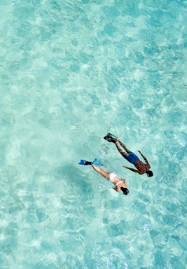 a man and woman swimming in clear water
