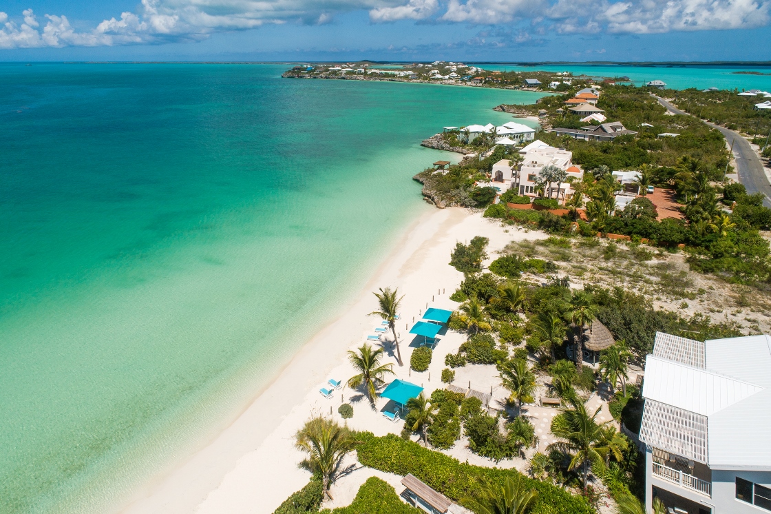 a beach with buildings and trees
