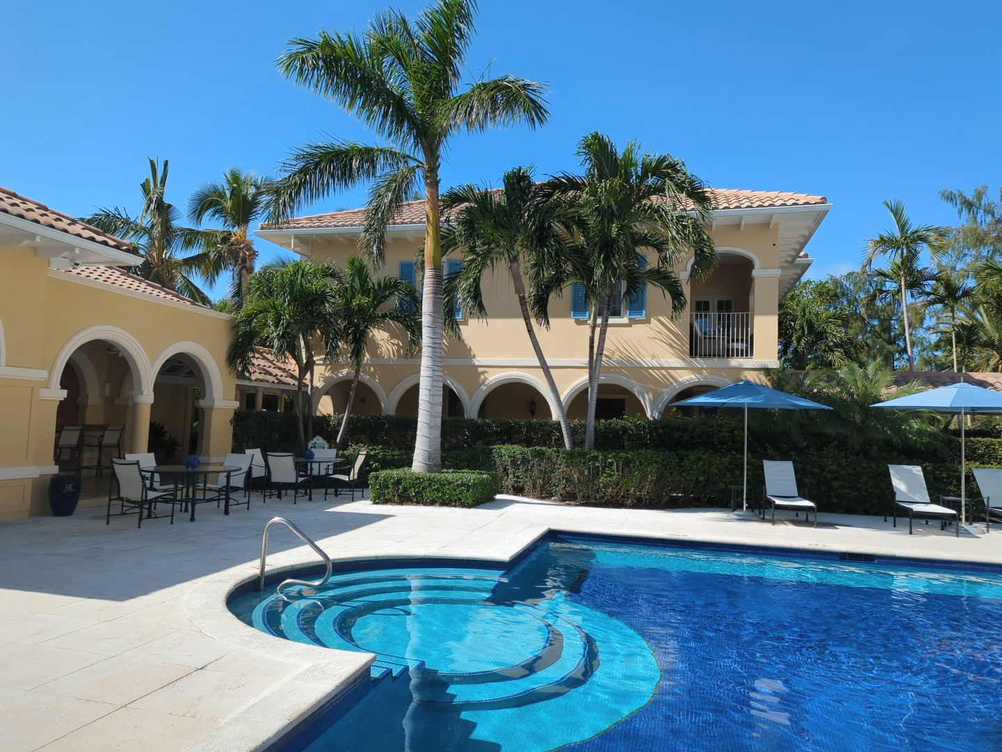 a pool with a palm tree in the background