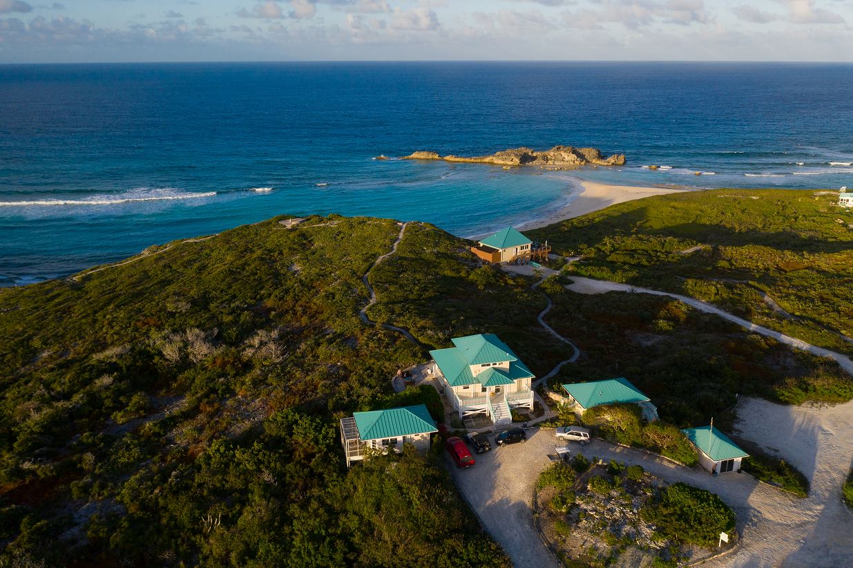 a houses on a hill by the ocean
