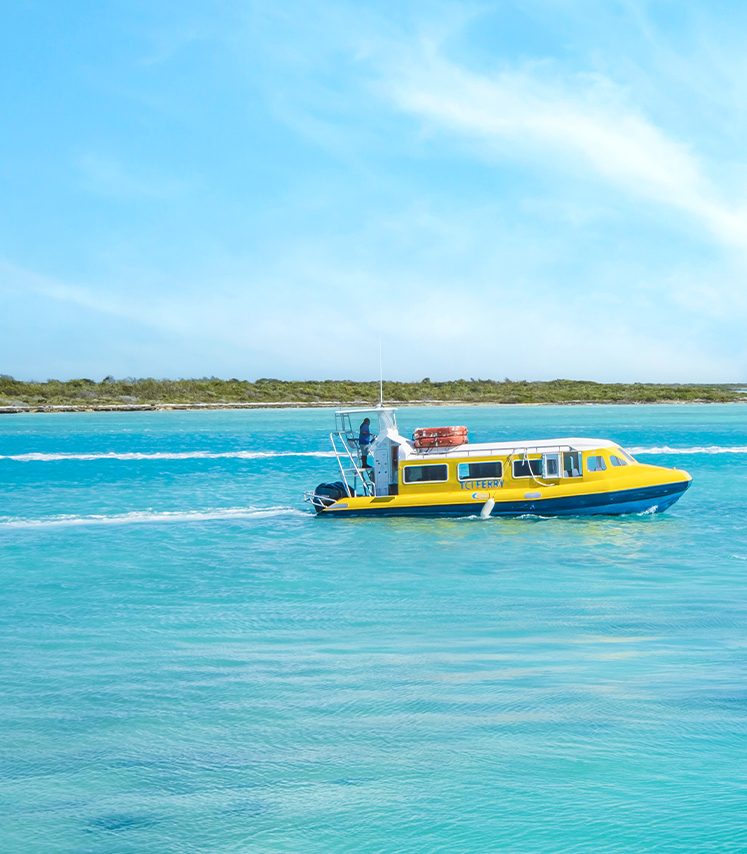 a boat in the water
