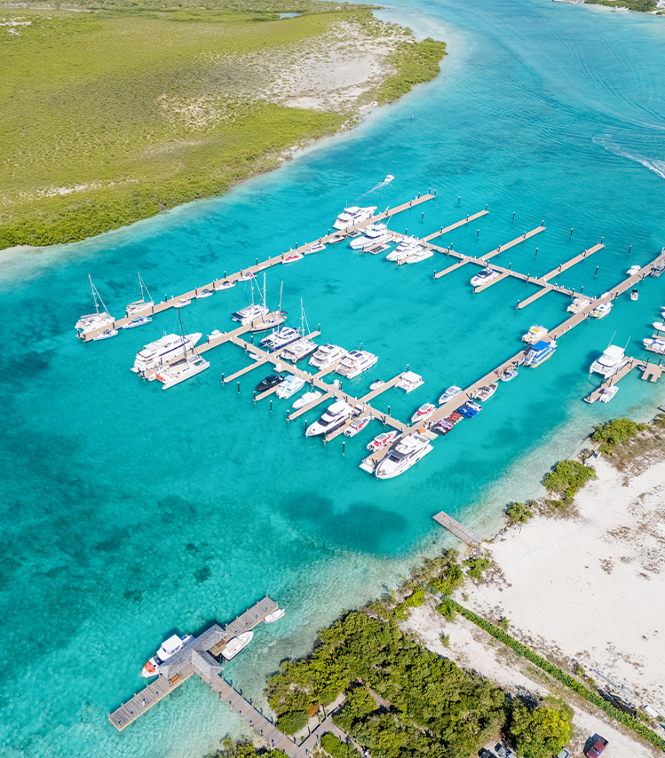 a group of boats in a harbor