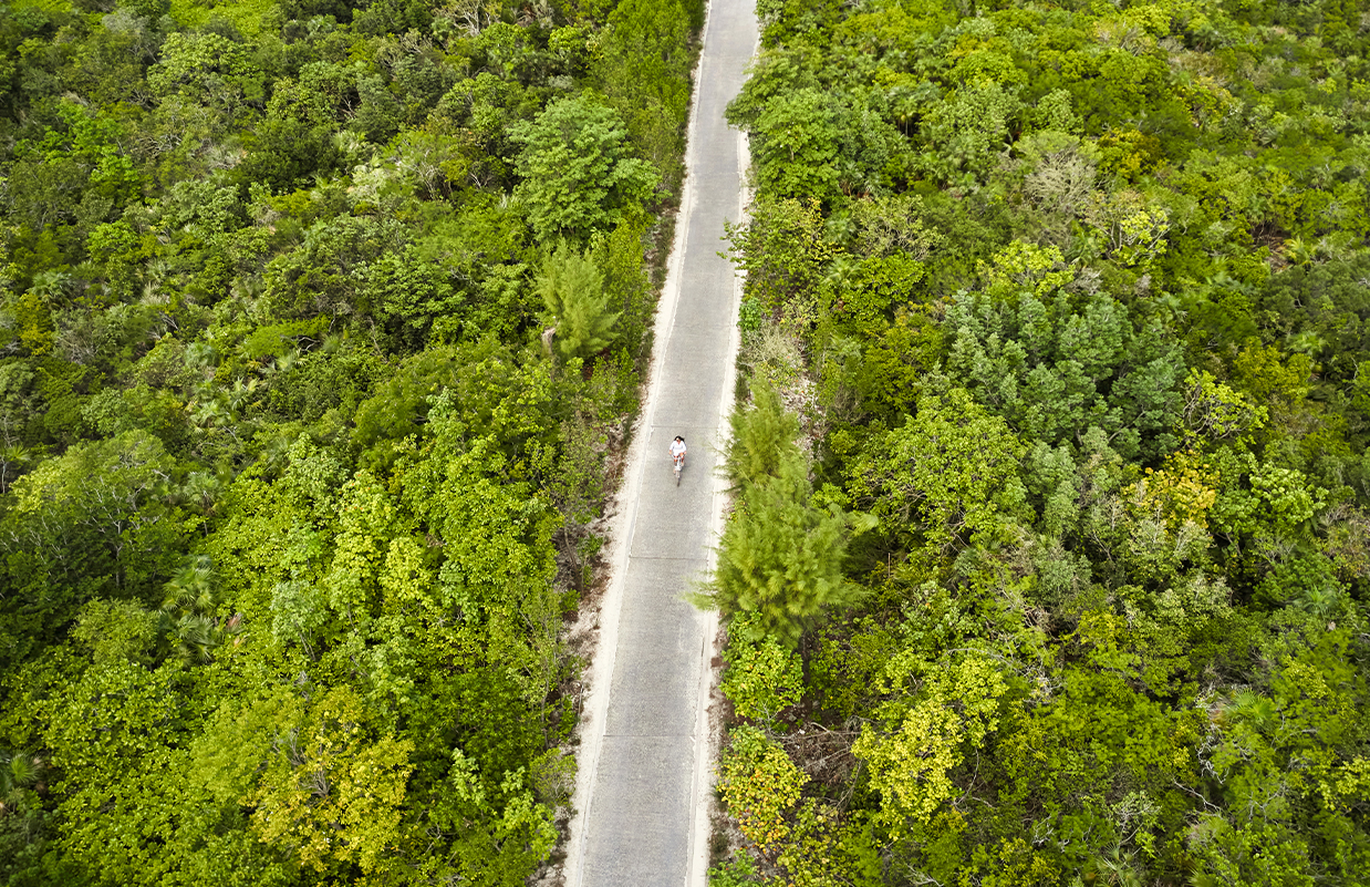 a person running on a road surrounded by trees