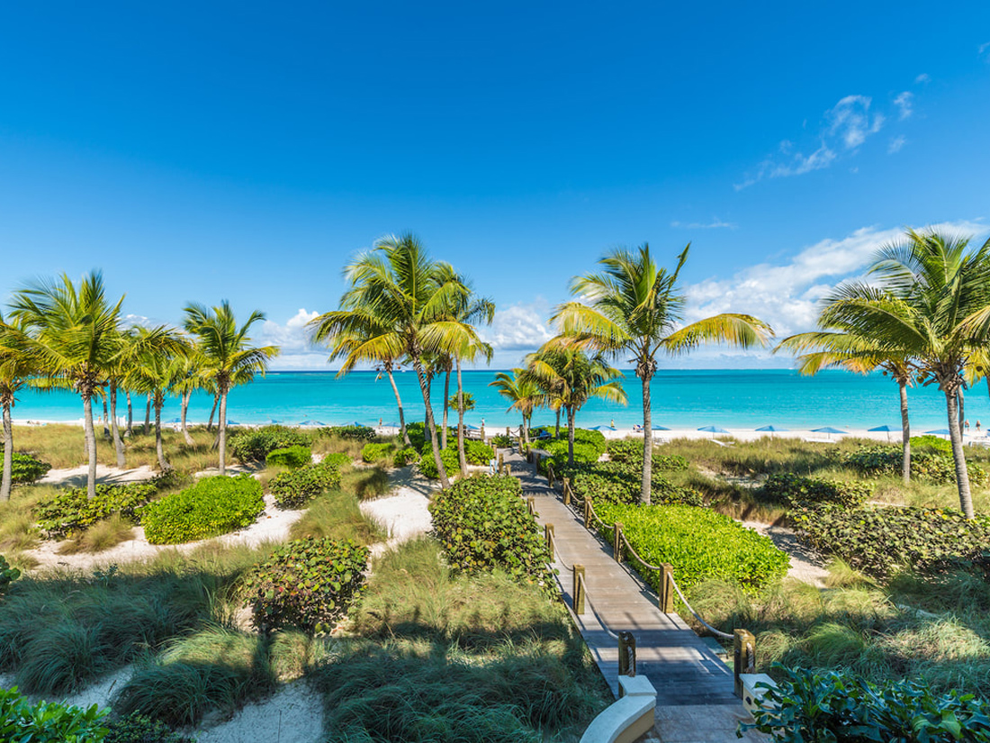 a path leading to a beach with palm trees and bushes