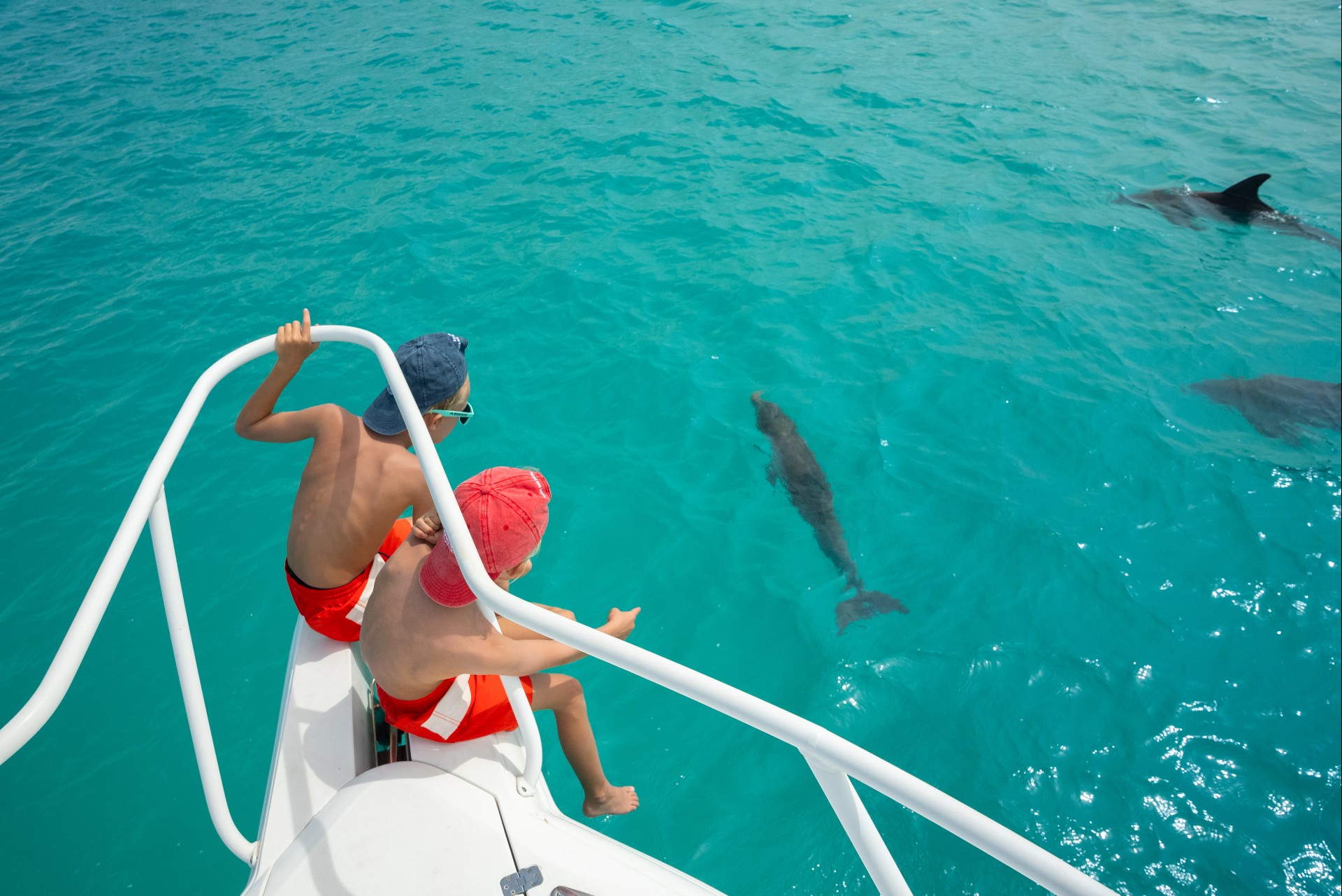 a group of people on a boat looking at a dolphin