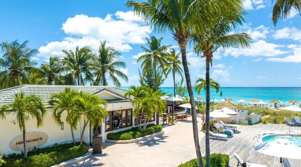 a beach with palm trees and a building