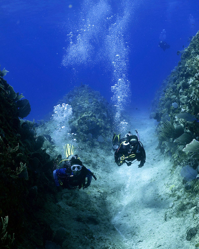 scuba divers swimming underwater