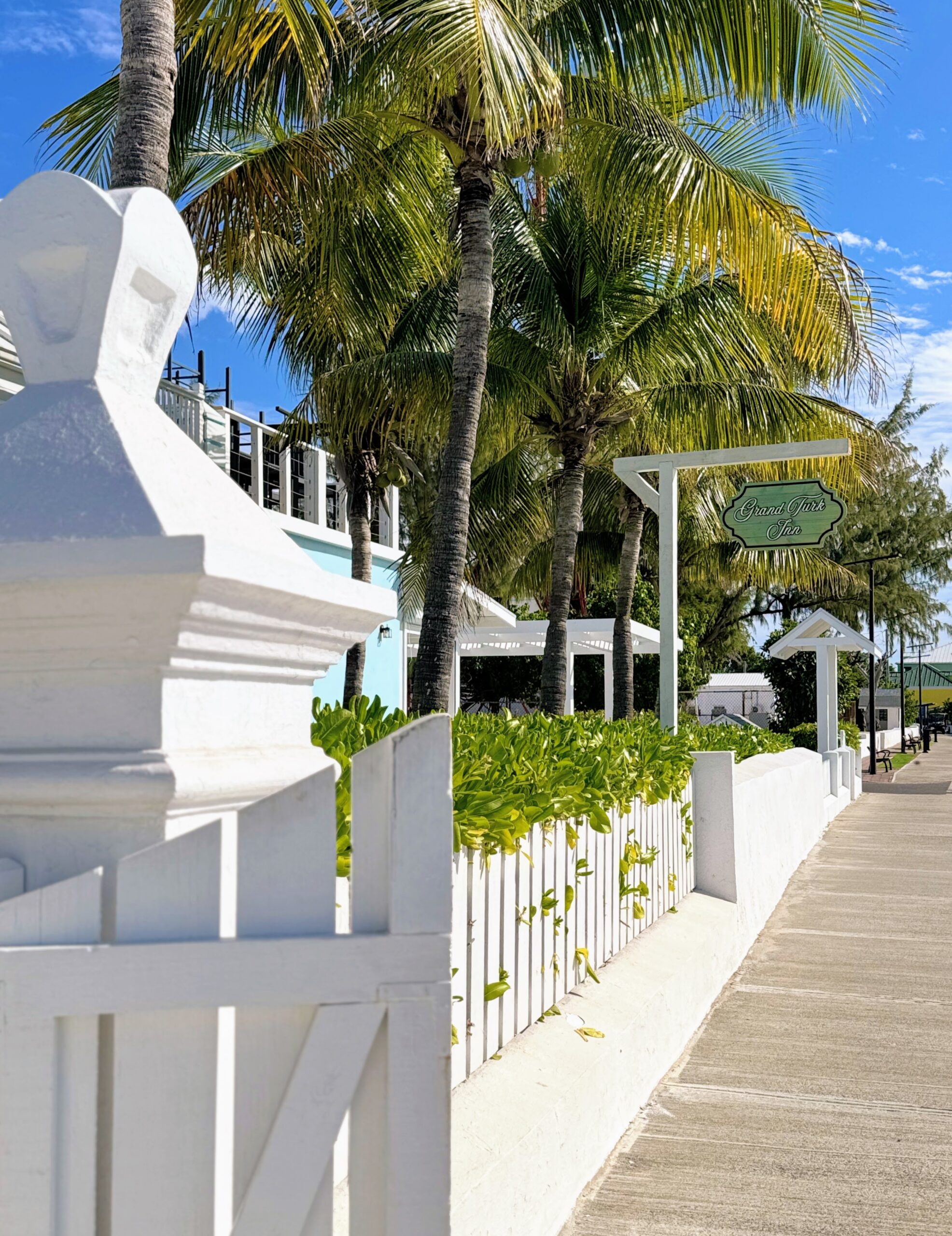 a white fence and palm trees