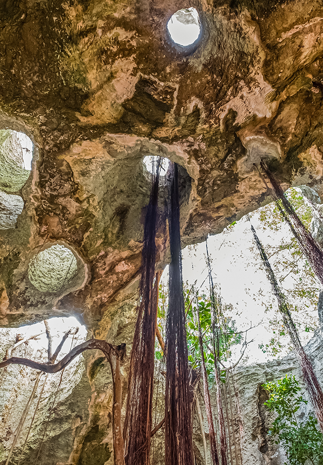 a rock structure with trees and plants
