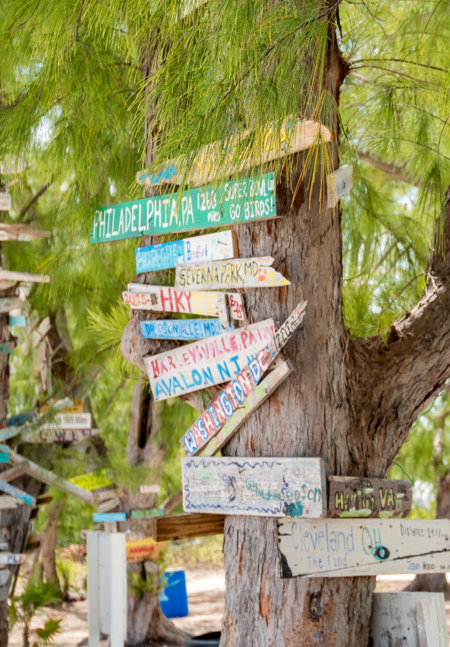 a tree with signs on it