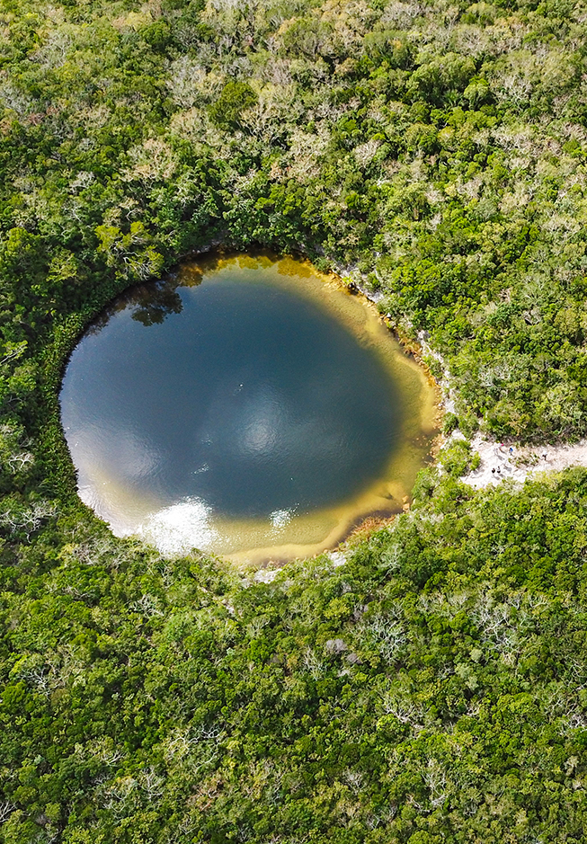 a lake surrounded by trees