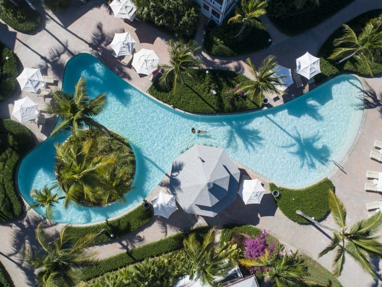 a pool with palm trees and people swimming in it