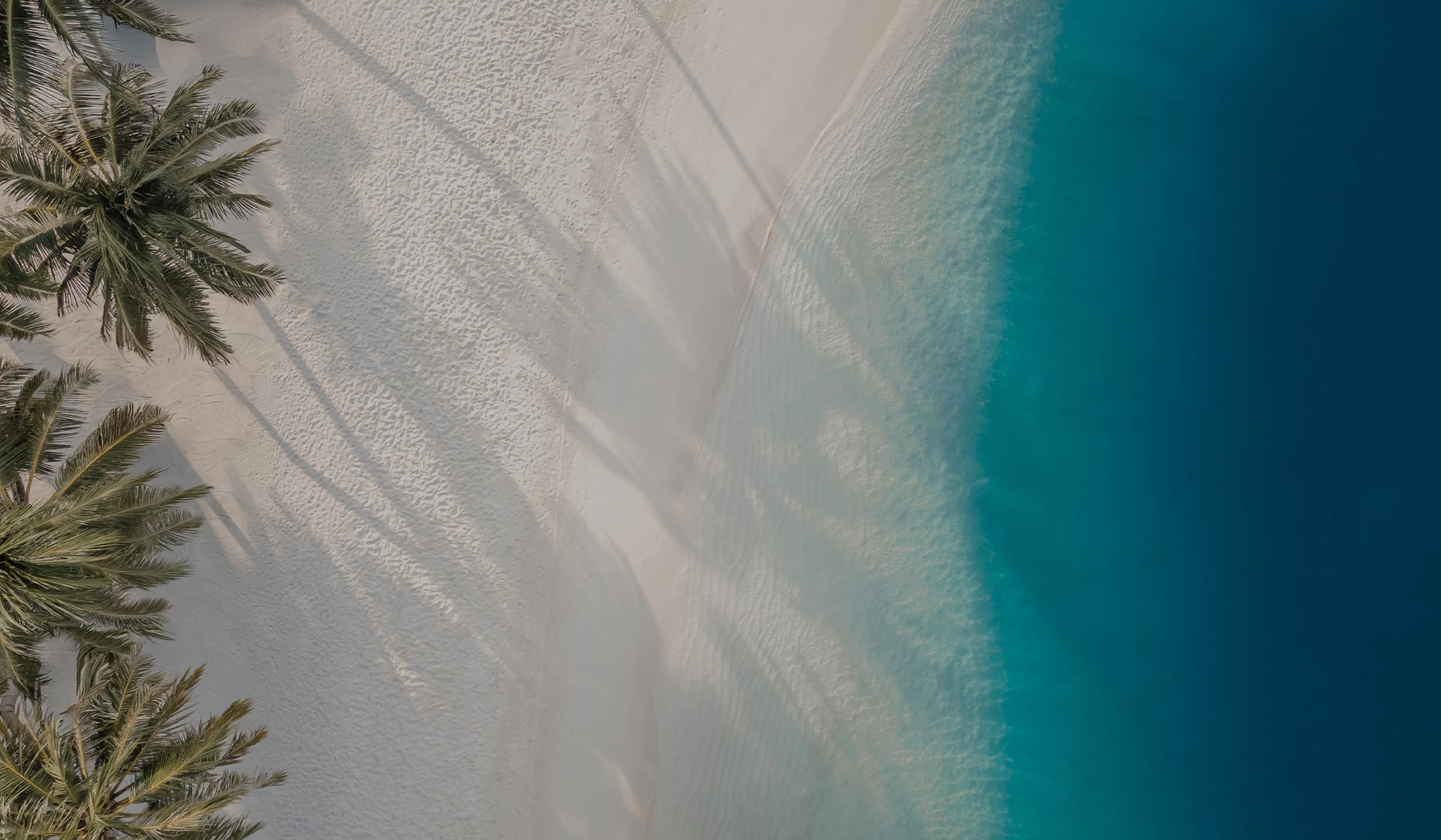 a beach with shadows of palm trees and blue water
