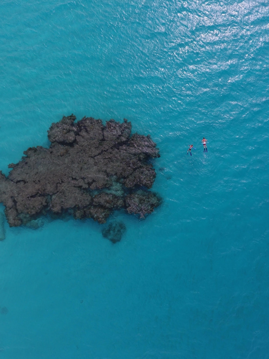 a group of people swimming in the water